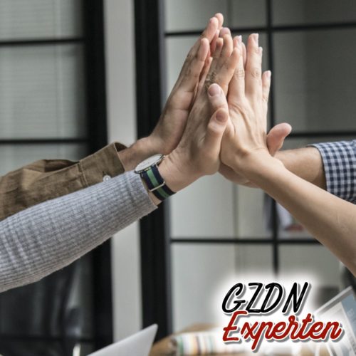 Das GZDN Expertennetzwerk